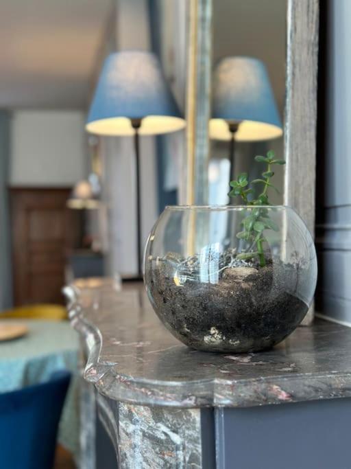 Appartamento Le Jardin Secret - Jardin/Loire Tours Esterno foto